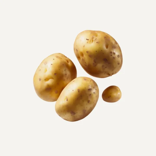 Potato