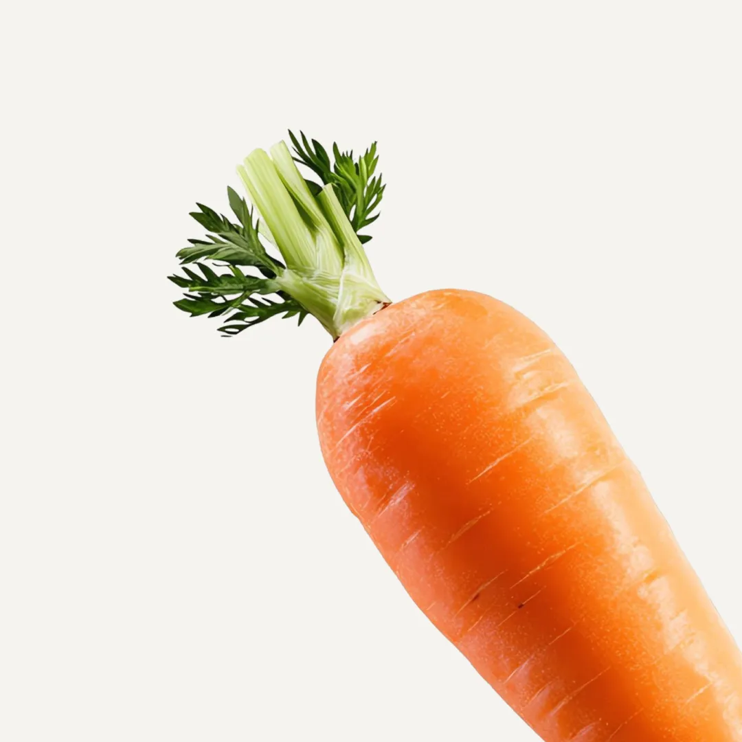 Orange Carrot - Image 2