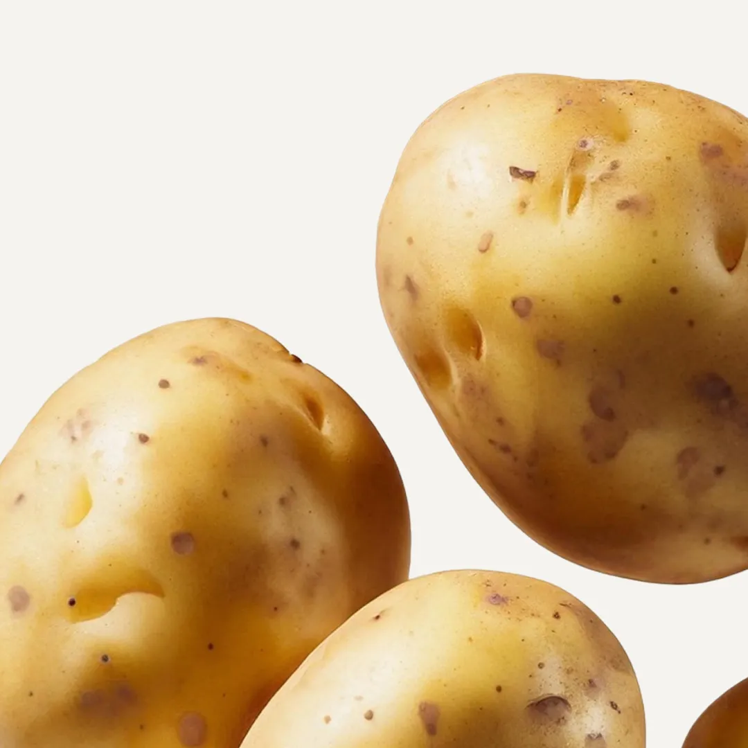 Potato - Image 2